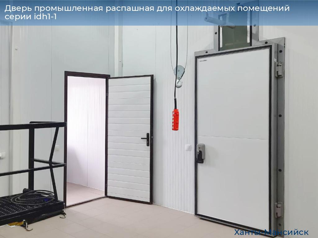 Дверь промышленная распашная для охлаждаемых помещений серии idh1-1, 