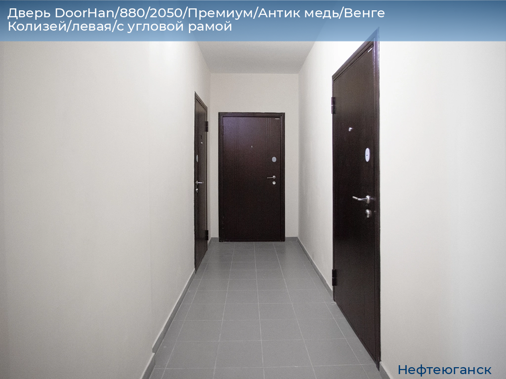 Дверь DoorHan/880/2050/Премиум/Антик медь/Венге Колизей/левая/с угловой рамой, nefteyugansk.doorhan.ru