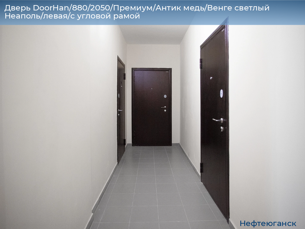 Дверь DoorHan/880/2050/Премиум/Антик медь/Венге светлый Неаполь/левая/с угловой рамой, nefteyugansk.doorhan.ru