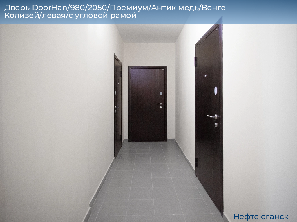 Дверь DoorHan/980/2050/Премиум/Антик медь/Венге Колизей/левая/с угловой рамой, nefteyugansk.doorhan.ru