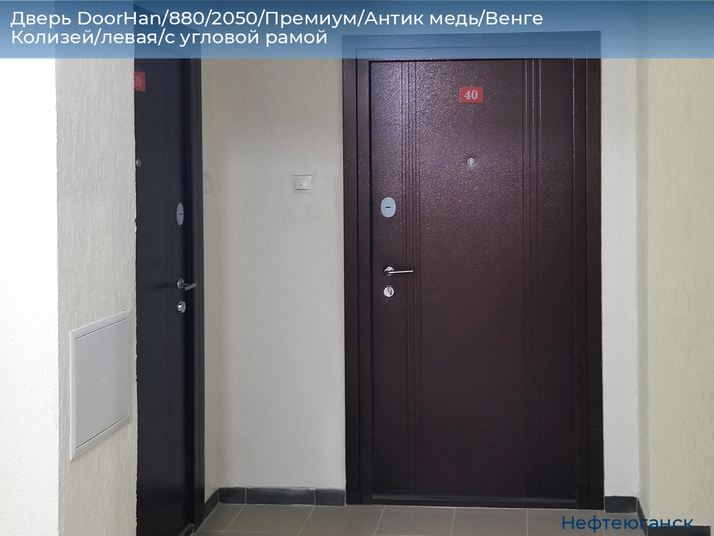 Дверь DoorHan/880/2050/Премиум/Антик медь/Венге Колизей/левая/с угловой рамой, nefteyugansk.doorhan.ru