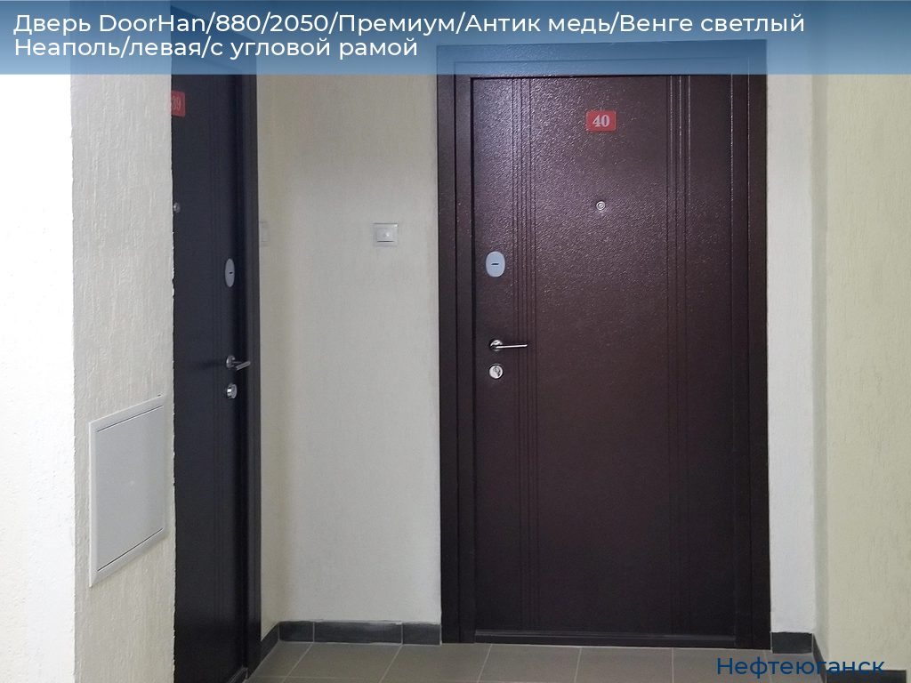 Дверь DoorHan/880/2050/Премиум/Антик медь/Венге светлый Неаполь/левая/с угловой рамой, nefteyugansk.doorhan.ru