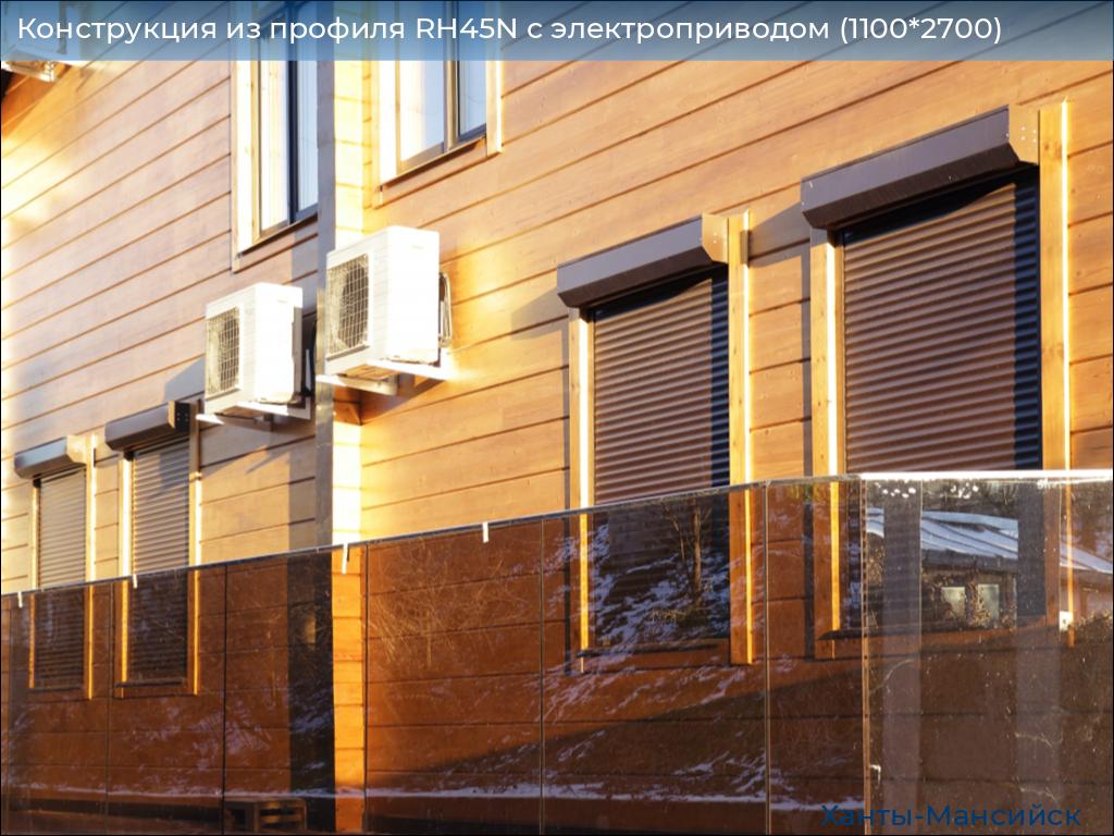 Конструкция из профиля RH45N с электроприводом (1100*2700), khanty-mansiysk.doorhan.ru