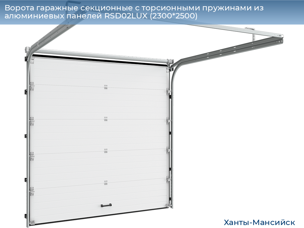 Ворота гаражные секционные с торсионными пружинами из алюминиевых панелей RSD02LUX (2300*2500), khanty-mansiysk.doorhan.ru