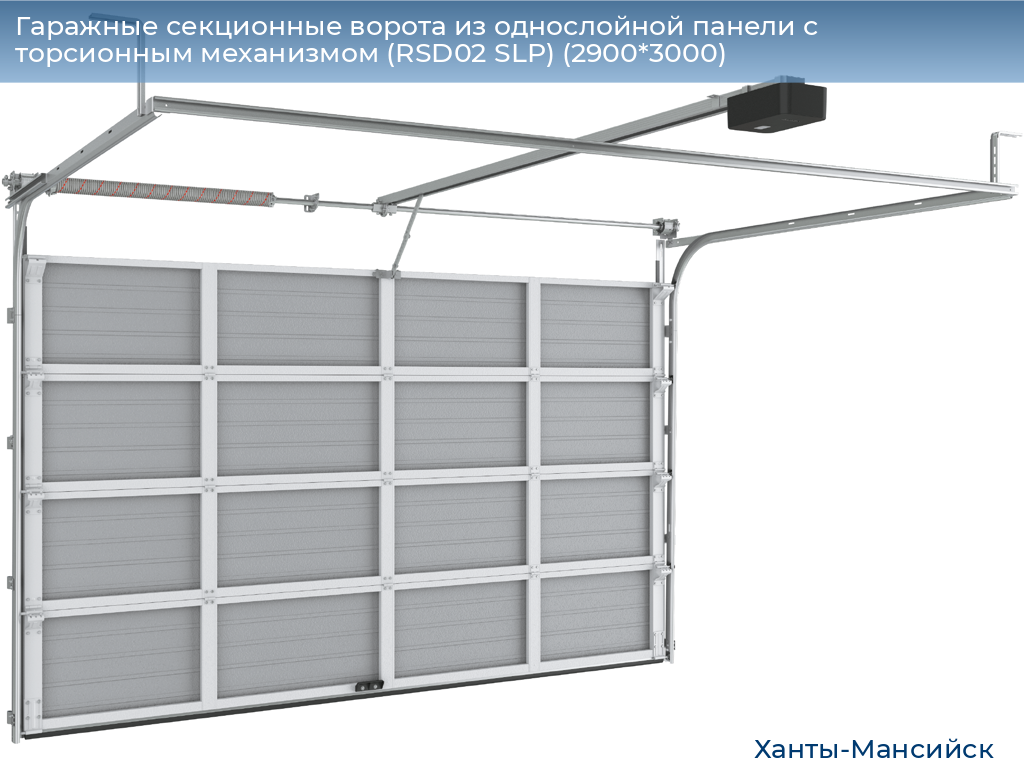 Гаражные секционные ворота из однослойной панели с торсионным механизмом (RSD02 SLP) (2900*3000), khanty-mansiysk.doorhan.ru
