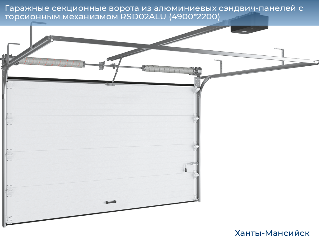 Гаражные секционные ворота из алюминиевых сэндвич-панелей с торсионным механизмом RSD02ALU (4900*2200), khanty-mansiysk.doorhan.ru