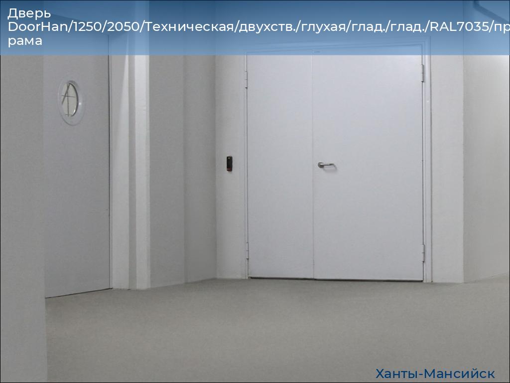 Дверь DoorHan/1250/2050/Техническая/двухств./глухая/глад./глад./RAL7035/прав./угл. рама, khanty-mansiysk.doorhan.ru